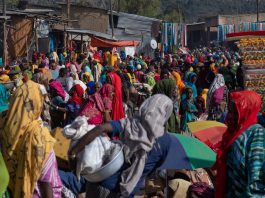[NEWS #Alert] Why Ethiopia has postponed its census! – #Loganspace AI