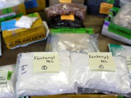 [NEWS] China to add fentanyl-related substances to controlled narcotics list – Loganspace AI