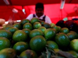 [NEWS] Avocado shortages, virgin margaritas: Border shutdown would hit American palates – Loganspace AI