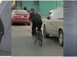 [NEWS] Homeless man arrested over bike-riding slasher attacks in Los Angeles – Loganspace AI
