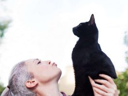 [Science] Pet cats know their names they just sometimes prefer to ignore you – AI