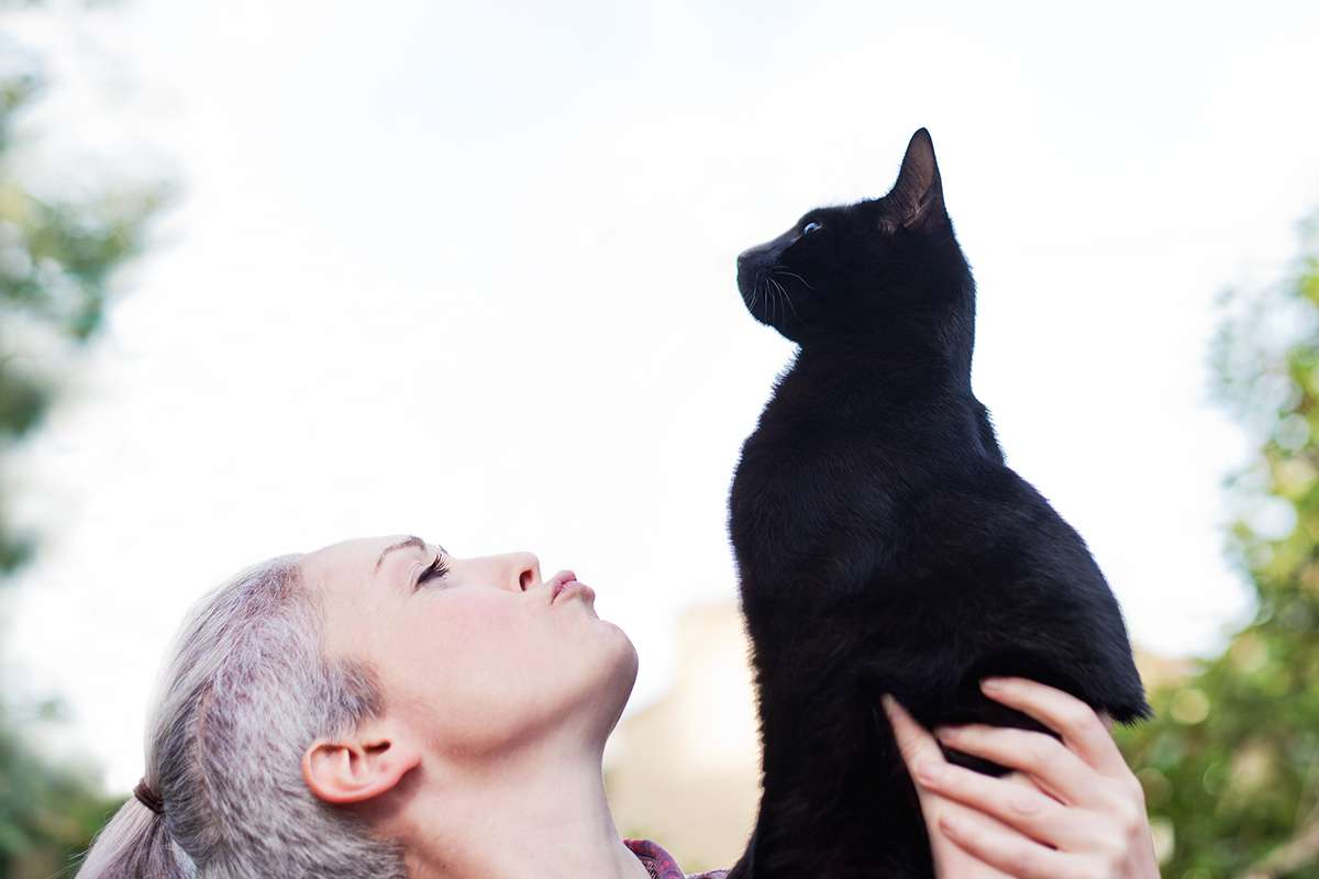 [Science] Pet cats know their names they just sometimes prefer to ignore you – AI