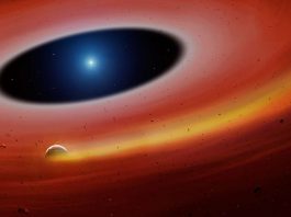 [Science] A dead planet is orbiting a dead sun in a distant dead solar system – AI