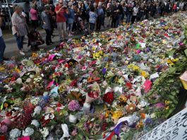[NEWS] New Zealand massacre suspect charged with 49 more mosque murders – Loganspace AI