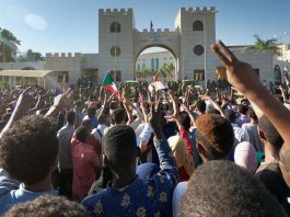 [NEWS #Alert] Protests against the rule of Omar al-Bashir in Sudan are growing! – #Loganspace AI