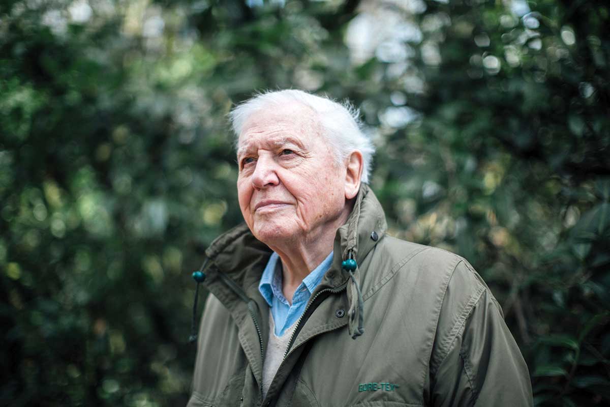 [Science] David Attenborough finally talks climate change in prime time BBC slot – AI