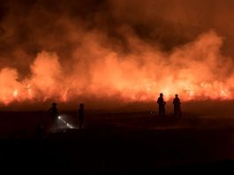 [Science] The UK has already had more wildfires in 2019 than any year on record – AI