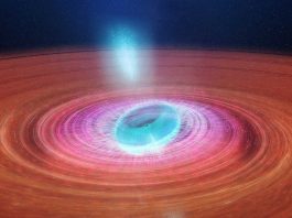 [Science] Wonky black hole spotted rapidly eating a doughnut made from a star – AI