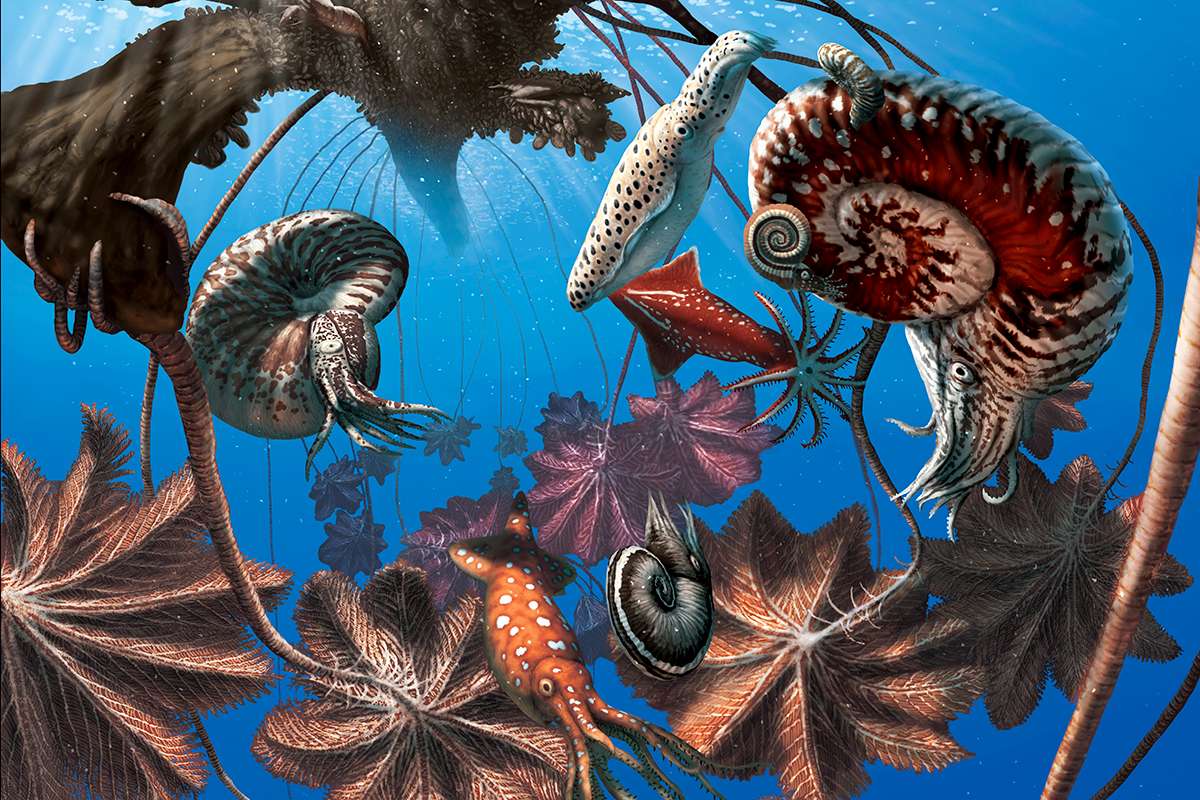 [Science] Huge mega-rafts carried dinosaur-era animals on round-the-world trips – AI
