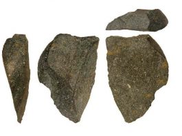 [Science] Tool-use became widespread 10,000 years earlier than we thought – AI
