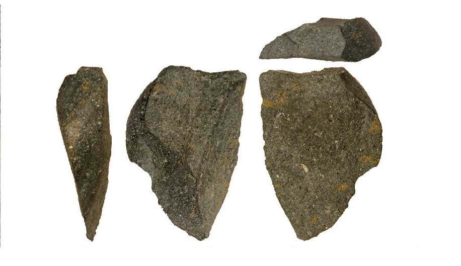 [Science] Tool-use became widespread 10,000 years earlier than we thought – AI