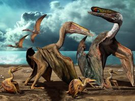 [Science] Baby pterosaurs may have hatched ready to fly right out of the egg – AI