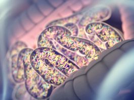 [Science] Gut microbes interfere with Parkinson’s drug – but we could stop them – AI