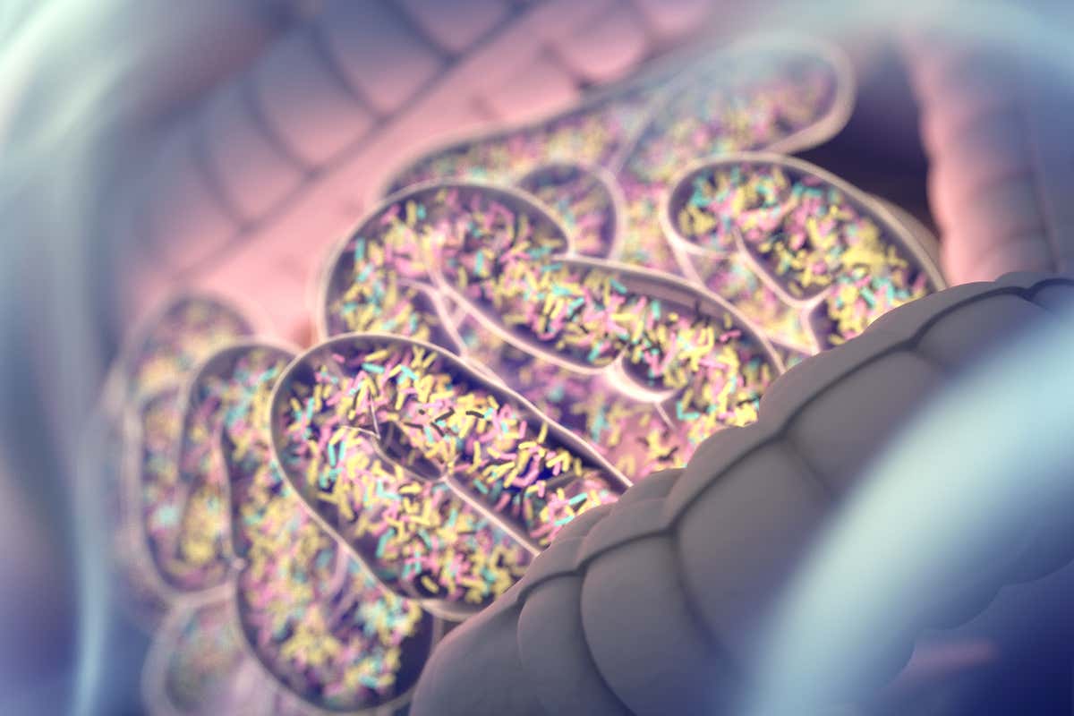 [Science] Gut microbes interfere with Parkinson’s drug – but we could stop them – AI