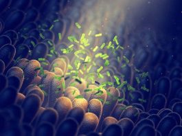 [Science] A severe autoimmune condition may be triggered by ‘good’ gut bacteria – AI