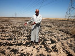 [NEWS] After years of war and drought, Iraq’s bumper crop is burning – Loganspace AI