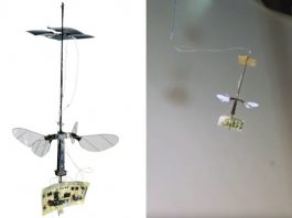 [NEWS] Tiny Robobee X-Wing powers its flight with light – Loganspace