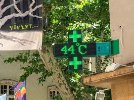 [Science] European heatwave: France hits highest recorded temperature of 45.1°C – AI