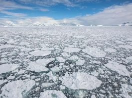 [Science] Antarctic sea ice is declining dramatically and we don’t know why – AI