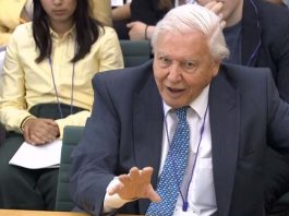 [Science] David Attenborough on climate change: ‘We cannot be radical enough’ – AI
