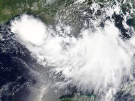 [NEWS] Tropical Storm Barry nears New Orleans, raising flood threat – Loganspace AI
