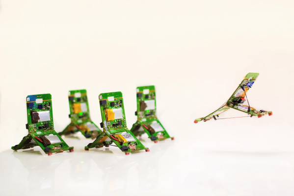 [NEWS] These robo-ants can work together in swarms to navigate tricky terrain – Loganspace