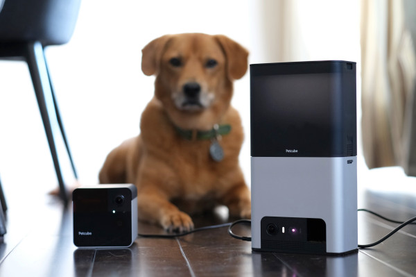 [NEWS] Petcube’s Bites 2 and Play 2 amuse pets and humans alike with Alexa built-in – Loganspace