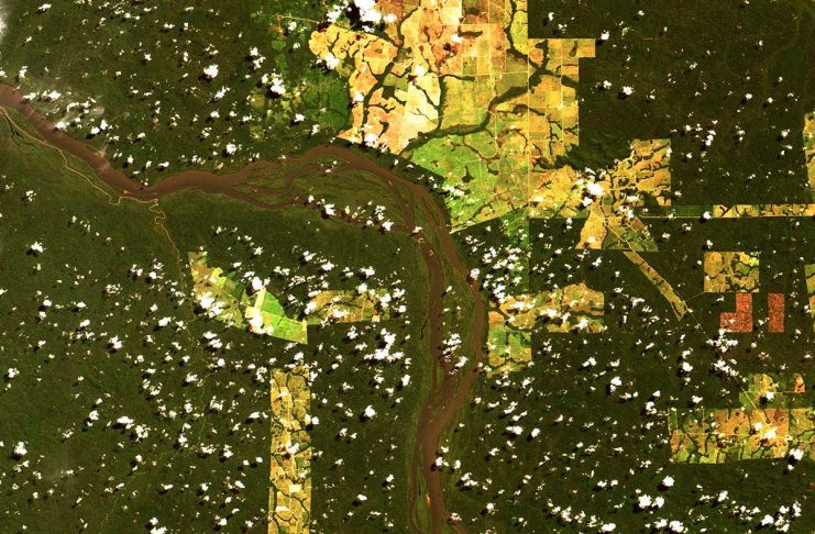 [Science] Deforestation in Brazil has rocketed since Bolsonaro became president – AI