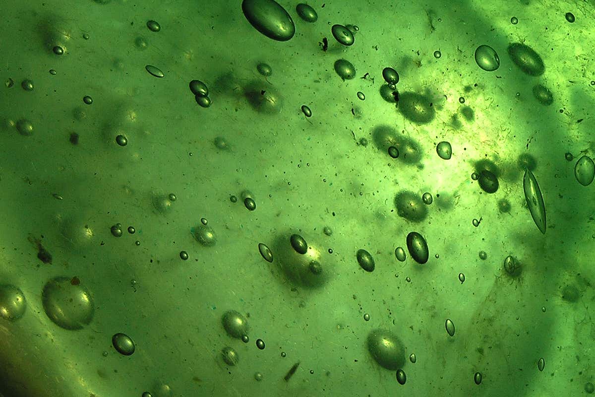[Science] Early life on Earth may have existed as miniature droplets of jelly – AI
