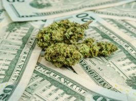 [NEWS] The ‘Costco of cannabis’ raises $2.8 million for a membership weed delivery service – Loganspace