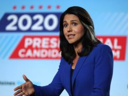 [NEWS] Tulsi Gabbard sues Google over suspended ads – Loganspace
