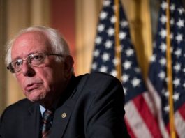 [NEWS] Bernie Sanders makes reinstating net neutrality a campaign promise – Loganspace