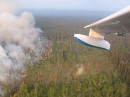 [Science] Russia has declared a state of emergency over Siberian wildfires – AI