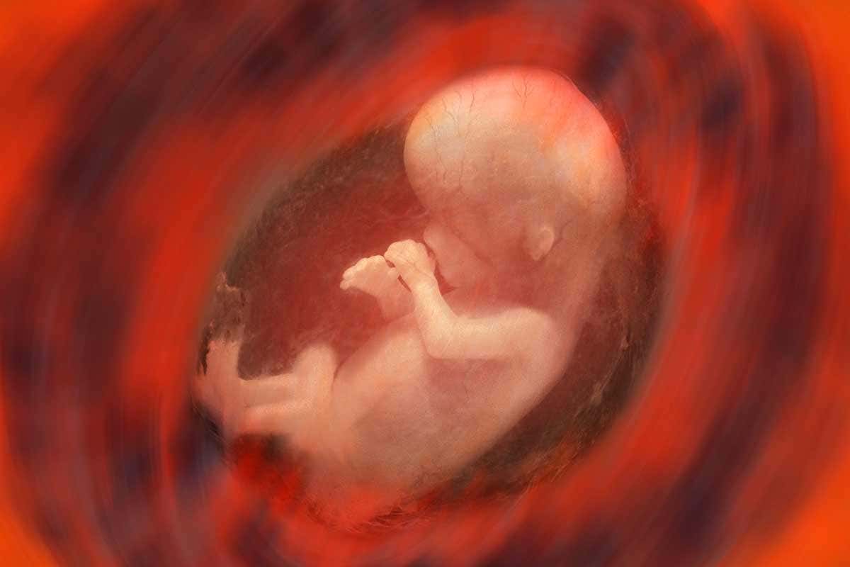 [Science] The human placenta may not have a microbiome after all – AI