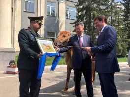 [NEWS] With an eye on Russia, China and a horse, Pentagon chief visits Mongolia – Loganspace AI