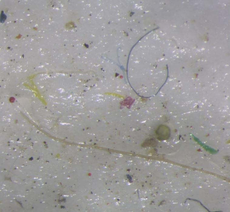 [NEWS] ‘Punch in the gut’ as scientists find micro plastic in Arctic ice – Loganspace AI
