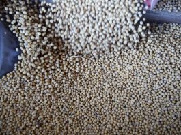 [NEWS] China buys U.S. soybeans after declaring ban on American farm goods – Loganspace AI