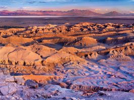 [Science] Bacteria fly into the Atacama Desert every afternoon on the wind – AI