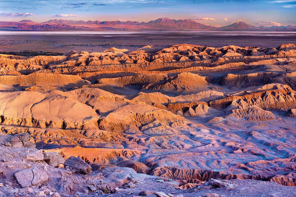 [Science] Bacteria fly into the Atacama Desert every afternoon on the wind – AI