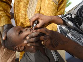 [Science] Wild polio has been eradicated in Nigeria but infections will continue – AI