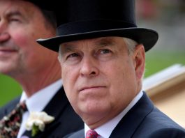 [NEWS] Britain’s Prince Andrew denies seeing any sex crimes during time with Epstein – Loganspace AI