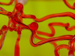 [NEWS] MIT’s new thread-like robots could travel through blood vessels in the brain for more effective surgery – Loganspace
