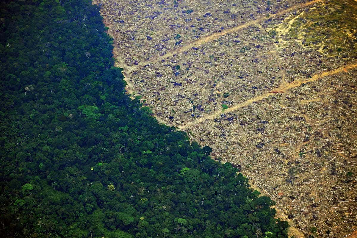[Science] It’s officially now the worst ever August for Amazon deforestation – AI