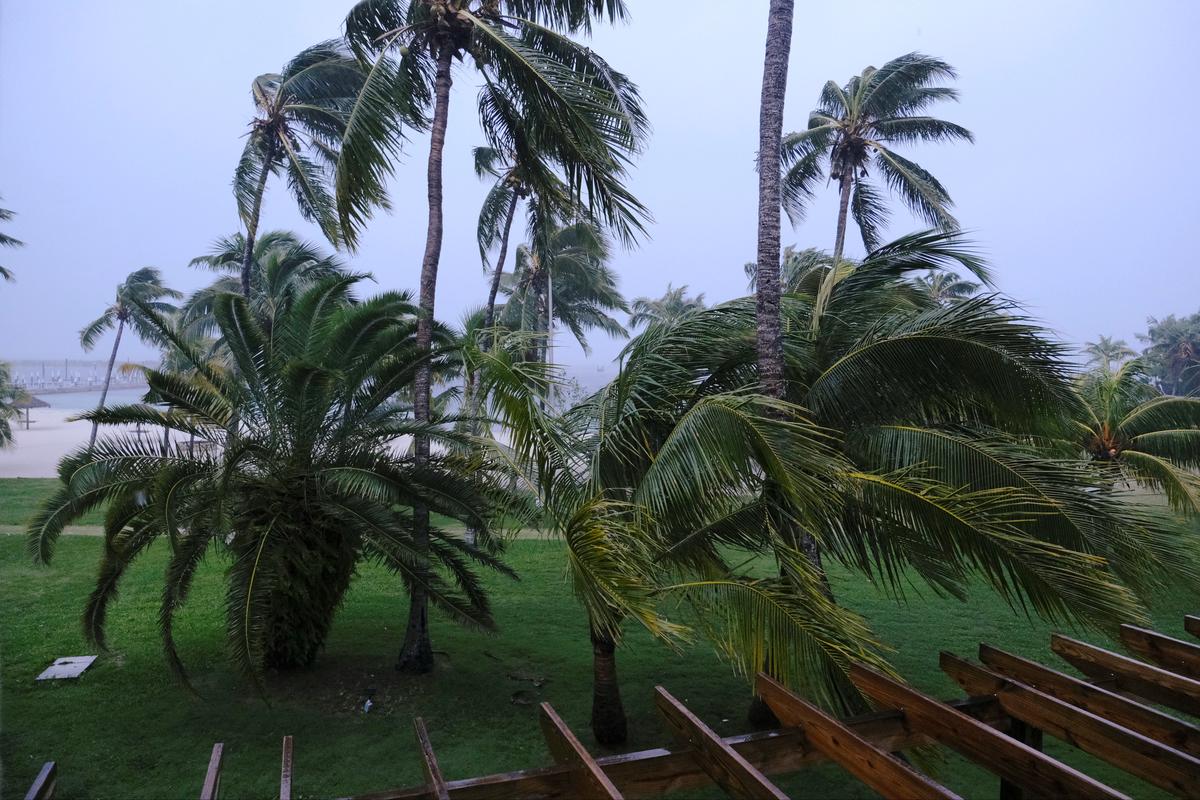 [NEWS] Dorian strengthens to powerful category 5 hurricane as it nears Bahamas – Loganspace AI