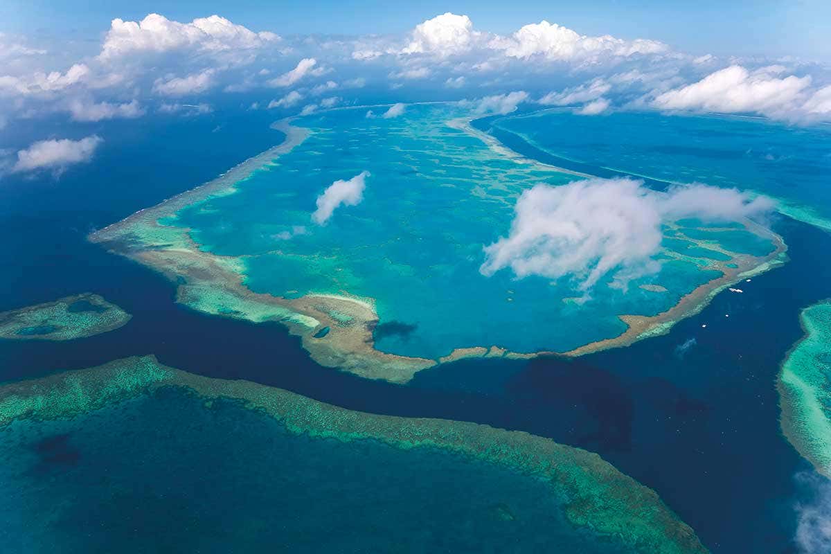 [Science] Great Barrier Reef now has ‘very poor’ outlook due to climate change – AI