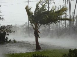 [Science] Dorian batters Bahamas with strong hurricane winds for record time – AI