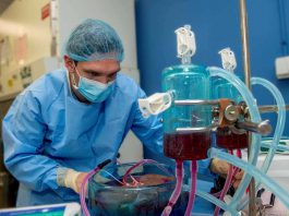 [Science] Transplant organs can be supercooled to below zero for longer storage – AI