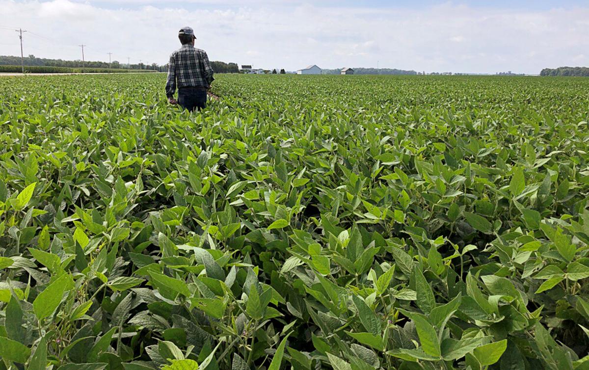 [NEWS] Many U.S. farmers fume at Washington, not Trump, over biofuel, trade policies – Loganspace AI