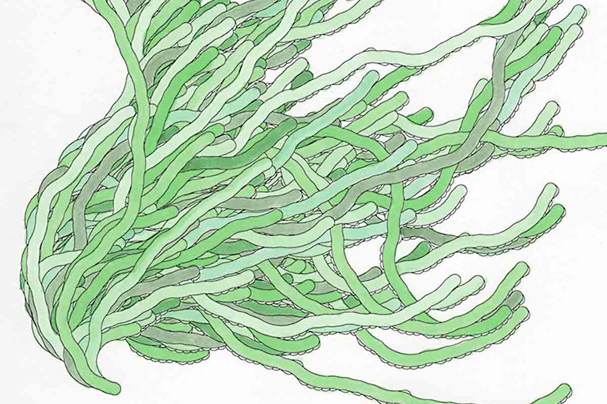 [Science] Baffling maths riddle that looks like a pile of worms almost solved – AI
