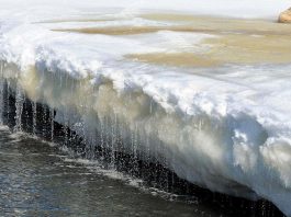 [Science] Meltwater from Greenland could raise sea level an extra 7 centimetres – AI